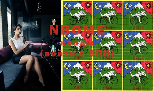 сатива Сосновка