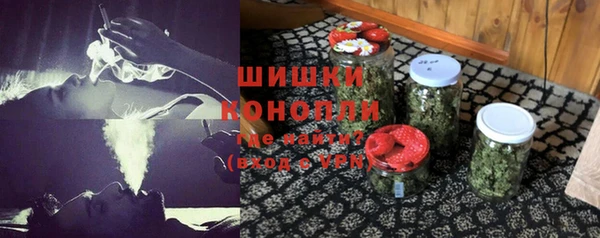 сатива Сосновка