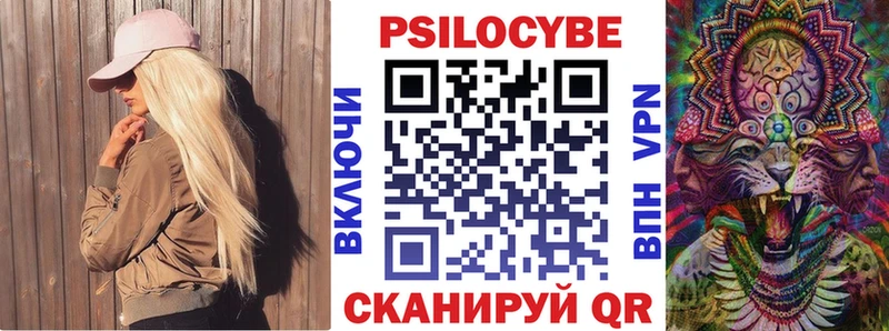 Псилоцибиновые грибы Psilocybe  Купить закладки  Трубчевск 